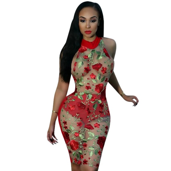 Red Rose - Picture 3 of 6